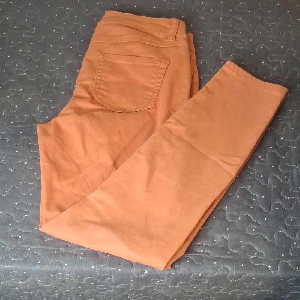 d. jeans Women's Skinny Jeans in Rust Orange
